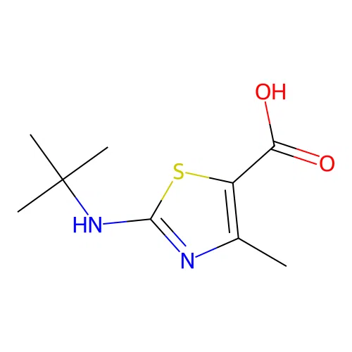 2-t-Butylamino-4-methyl-thiazole-5-carboxylic acid structure