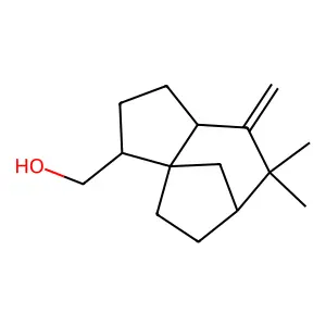 Deoxycholylglycine structure