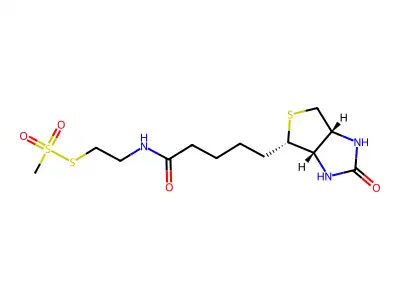 MTSEA-biotin structure
