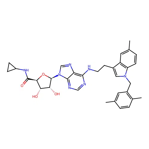 UP202-56 structure