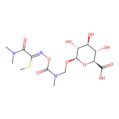 JR522 structure