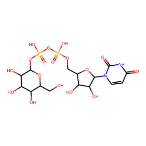 UDP-Hexose structure