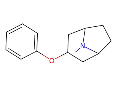 8-Methyl-3-phenoxy-8-azabicyclo[3.2.1]octane structure