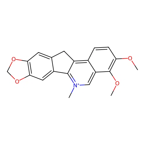 3,4-dimethoxy-6-methyl-12H-[1,3]dioxolo[5,6]indeno[1,2-c]isoquinolin-6-ium structure