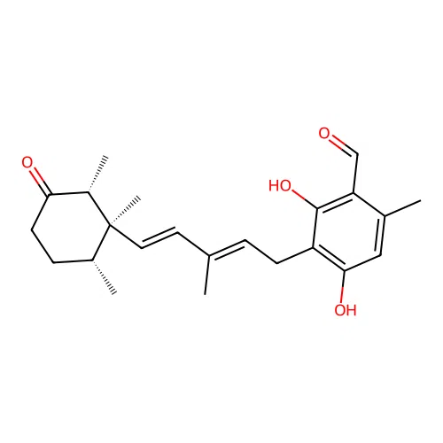 Cylindrol B structure