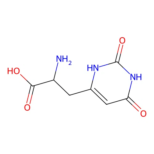 2-Amino-3-(2,6-dioxo-1,2,3,6-tetrahydropyrimidin-4-yl)propanoic acid structure