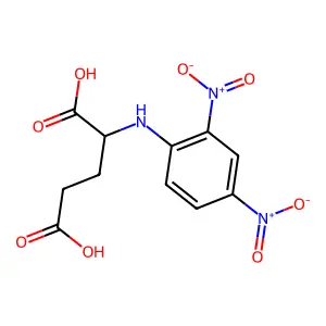 2-(2,4-Dinitroanilino)pentanedioic acid structure