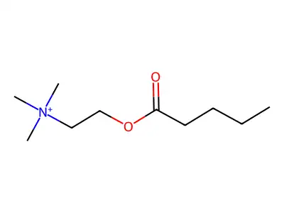 Pentanoylcholine structure