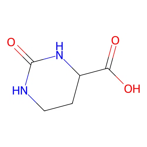 2-Oxohexahydropyrimidine-4-carboxylic acid structure