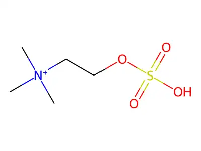 Choline hydrogen sulfate structure