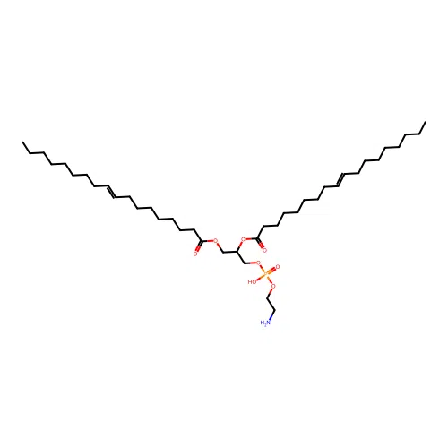 Dielaidoylphosphatidylethanolamine structure