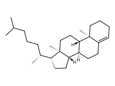 Cholest-4-ene structure