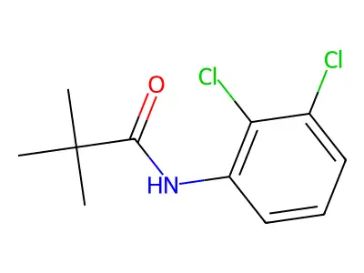 N-(2,3-dichlorophenyl)-2,2-dimethylpropanamide structure