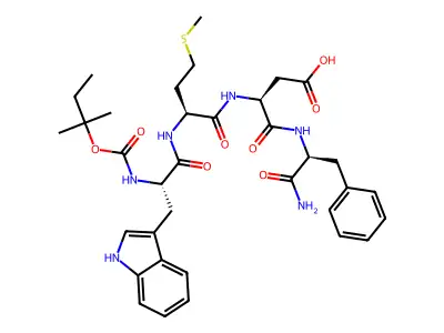amogastrin structure
