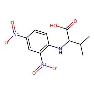 N-(2,4-Dinitrophenyl)-L-valine structure