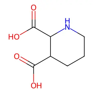 2,3-Piperidinedicarboxylic acid structure