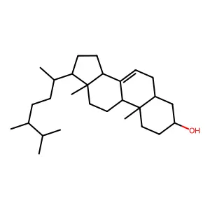 Ergost-7-en-3-ol,(3b,24x)- structure