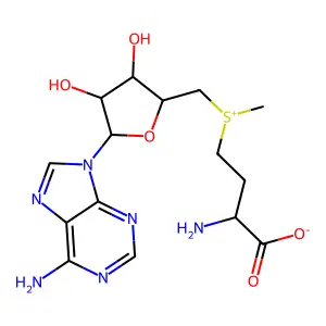 Ademetionine structure