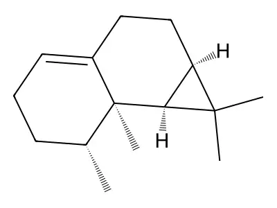 Calarene structure
