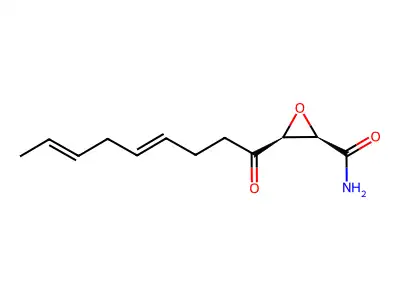 (2R,3S)-3-(1-oxonona-4,7-dienyl)-2-oxiranecarboxamide structure