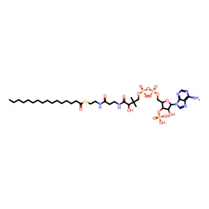 Palmitoyl Coenzyme A, Free acid structure