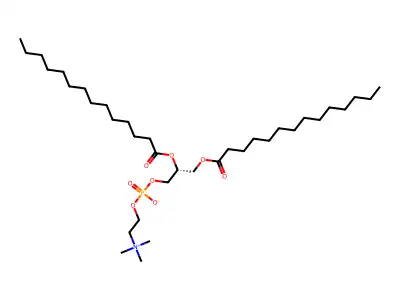 DMPC;L-beta,gamma-Dimyristoyl-alpha-lecithin structure