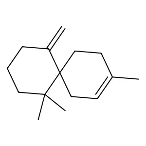 beta-Chamigrene structure