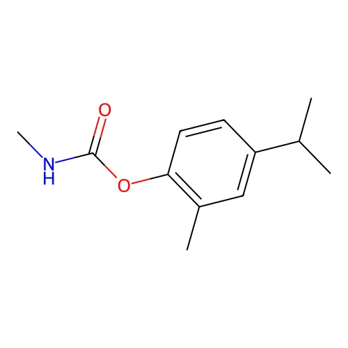 Carbamic acid, methyl-, o-cym-5-yl ester structure