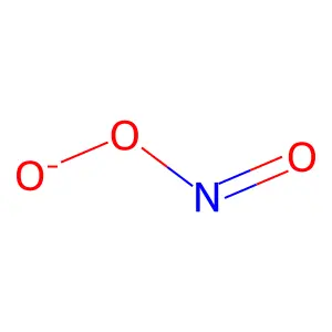 Peroxynitrite radical structure