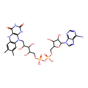 1,5-dihydro-FAD structure