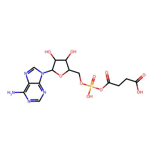 Adenylosuccinate structure