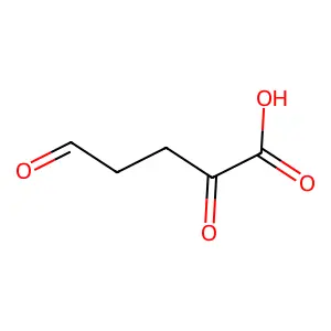 2,5-Dioxopentanoic acid structure