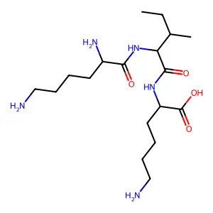 Lys-Ile-Lys structure