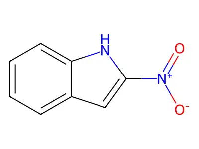 Nitroindole structure