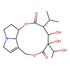 Axillarine structure