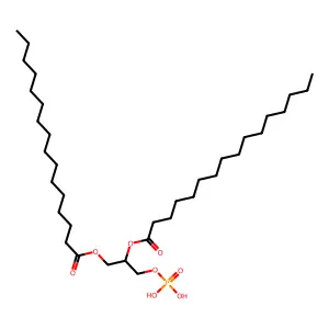 Dipalmitoylphosphatidic acid structure