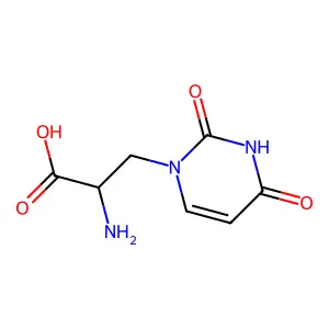 DL-Willardiine structure