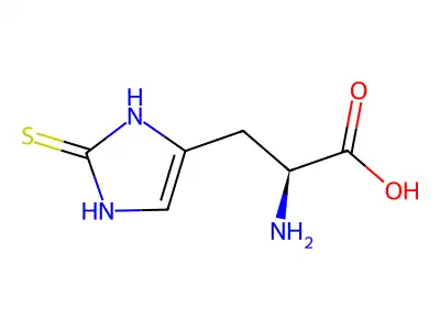 (alphaS)-alpha-Amino-2,3-dihydro-2-thioxo-1H-imidazole-4-propanoic acid structure