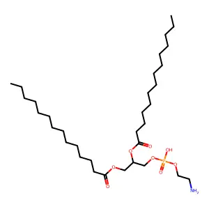 1,2-Dimyristoylphosphatidylethanolamine structure