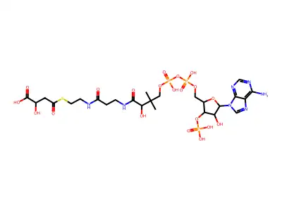 Malyl-coenzyme A structure