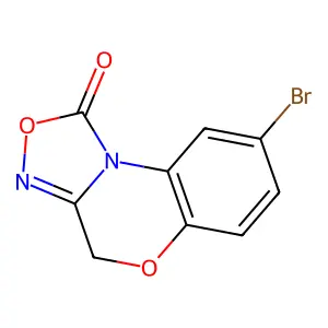ns 2028 structure