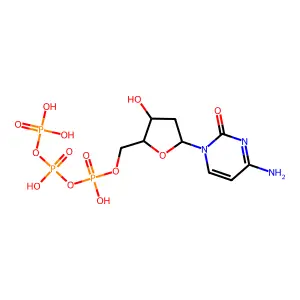 dCTP structure