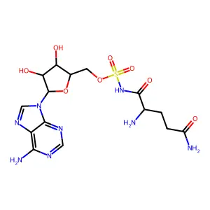 Gln-AMS structure