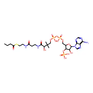 butyryl-CoA structure
