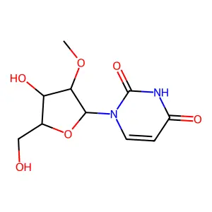 2'-O-Methyluridine structure