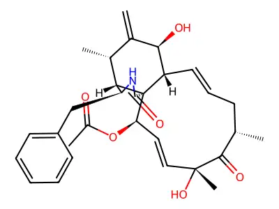 CID 30956 structure