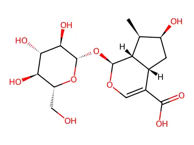 Loganic Acid structure