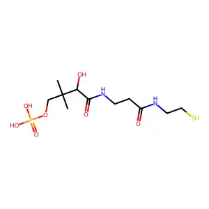 Phosphopantetheine structure