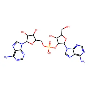 Adenylyl-(2'->5')-adenosine structure
