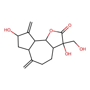 Solstitialin structure
